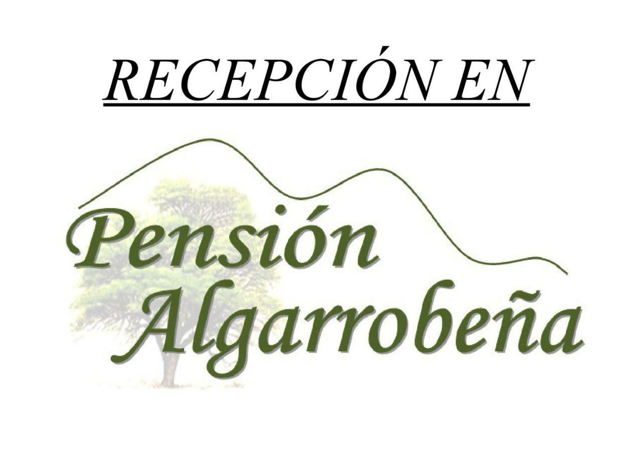 Casa Tita Laura Villa Algarrobo Eksteriør bilde