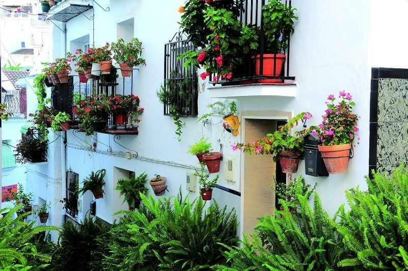 Casa Tita Laura Villa Algarrobo Eksteriør bilde